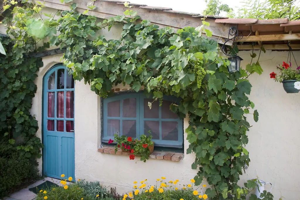 Chambre D'Hotes Oeuil De Bouc Madiran